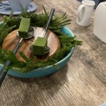 naturam kazuya sugiura - 