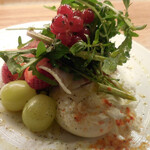 麹町ビストロ 階段の途中 - ブラータと生ハム、フルーツトマトのグリル　サラダ仕立て；アップ