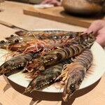 鮨白 - 車海老。