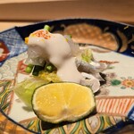 鮨白 - フグの刺身