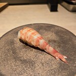 鮨白 - 車海老。