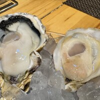 四ツ橋・新町 牡蠣と肉たらしビストロAKIRA - 