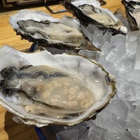 四ツ橋・新町 牡蠣と肉たらしビストロAKIRA - 