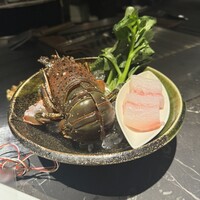 atelier 森本 XEX 鉄板 - 