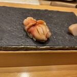 北陸の鮨 飛泉 - 