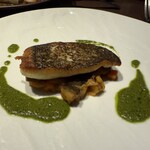 テルツィーナ - 