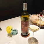 MOTORA  - ペアリングコース⑤