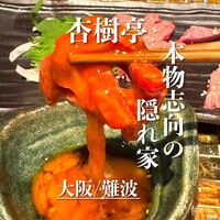 杏樹亭 - 