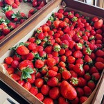 THE-MOMENT GRILL&DINING - 