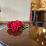 リオン菓子店 - 