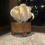 モアナマカイ珊瑚礁 - 