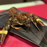 アーム・ドゥ・ギャルソン - 