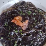 シャロウ・リーフ - 