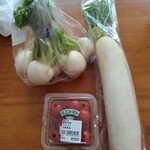 農家の畑 - 