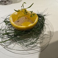 デルフィーナ - 