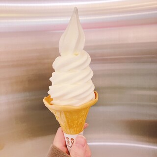 モーモーソフトの家_0