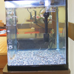 うなぎ亭 友栄 - 店内の様子