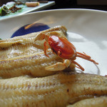 うなぎ亭 友栄 - しら焼　ズームアップ