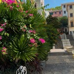 CASEPIA Kitchen & Lounge - 