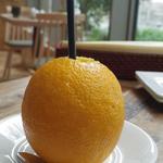 エッグセレント - 