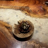 IL TEATRINO DA SALONE - 