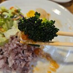 キッチン ブルー グローブ - 最後はブロッコリーを添えて