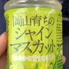 セブンイレブン おみやげ街道岡山新幹線上り店