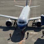 名古屋名物 みそかつ 矢場とん - 飛行機(国際線)