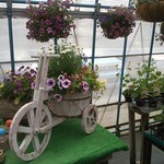 サラダファーム たまご館 - おまけ:ガーデンハウス①♪