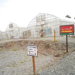 サラダファーム たまご館 - おまけ:いちごの森① 四棟のハウスが待っています♪