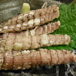 松 - 小柴産しゃこ