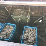 La Cabane de l'Aiguillon - 