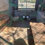 酪農王国 オラッチェ - 