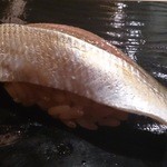 鮨 とかみ - 2014/6①小肌