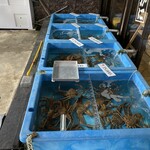 丹後ひもの屋 - 