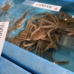 丹後ひもの屋 - 