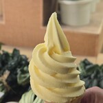 道の駅 桜島 火の島 めぐみ館 - 