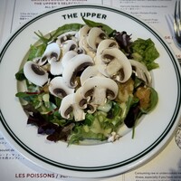 THE UPPER - 