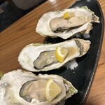 Oyster Dining Selfish - 