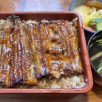 川魚料理 魚庄 本店 - 鰻重「上」