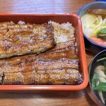川魚料理 魚庄 本店 - 鰻重「特」