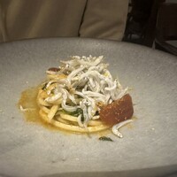 MOTORA  - 