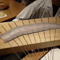 わたべ -  わたべ -