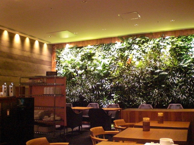 ザ ガーデン The Garden 大井町 カフェ 食べログ ザ ガーデン The Garden 大井町 カフェ 食べログ