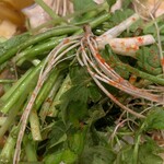 超純水採麺 天国屋 - 