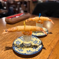 Seafood bar Ermitage 代々木店 - 