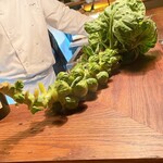 チニャーレエノテカ - 