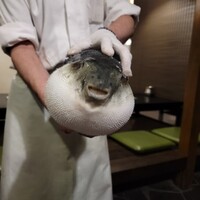 ふぐ御料理處 でん - 