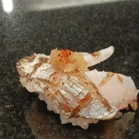 鮨と天草大王 天音 - 