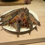 鮨白 - 車海老たち